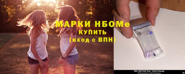 PSILOCYBIN Алзамай