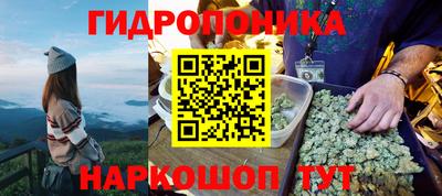 дмт Волгодонск