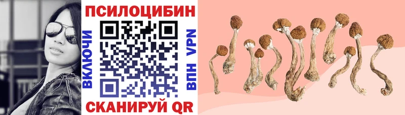 Псилоцибиновые грибы Cubensis  hydra ТОР  shop официальный сайт  Иваново 