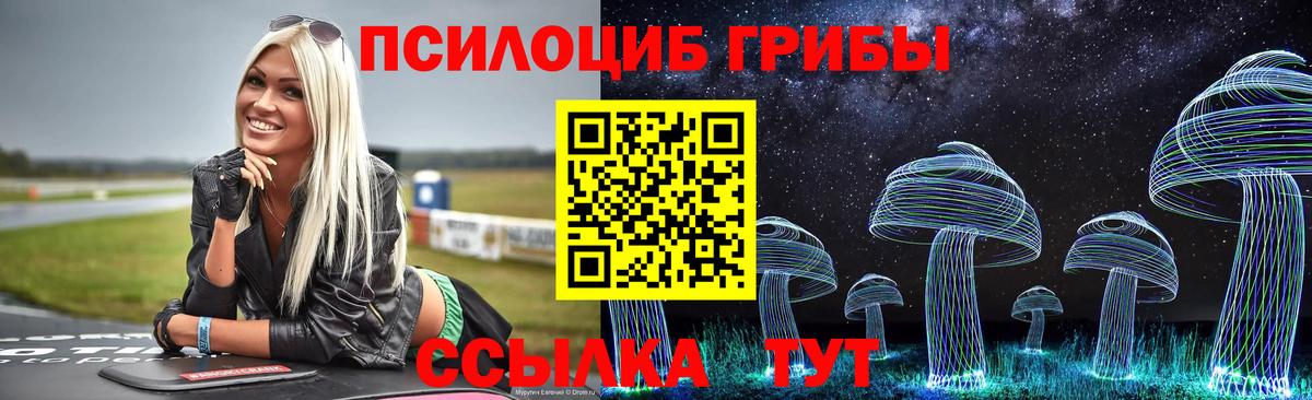 Галлюциногенные грибы Psilocybine cubensis Иваново