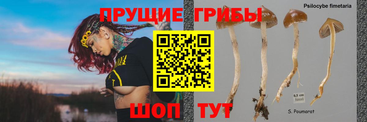 Иваново  Галлюциногенные грибы ЛСД  закладки  Вход с VPN  Псилоцибиновые грибы прущие грибы 